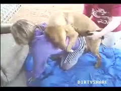 A woman is assisted in having a successful dog fuck.